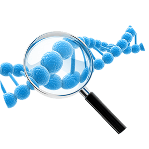 基因检测十大品牌