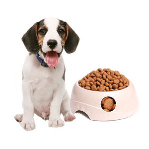 宠物用品十大品牌