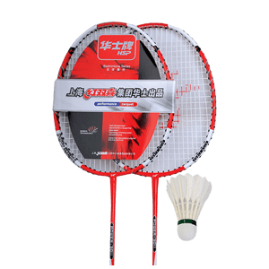 羽毛球十大品牌